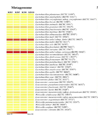 배추 김치 발효 중 microbial diversity (Nam et al. Int. J. Food Microbiol. 2009)