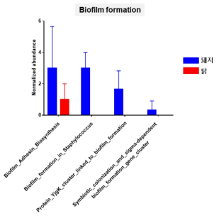 샘플 내 biofilm formation 관련 유전자 검출