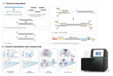 시퀀싱 과정 및 sequencer