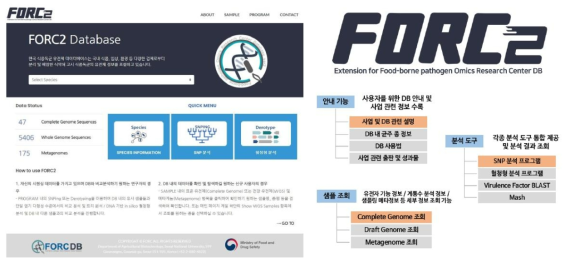 FORC2 DB 메인화면