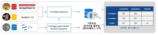 혈청형 데이터베이스 구축 과정 및 축적된 염기서열 수