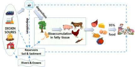 다이옥신류의 노출경로