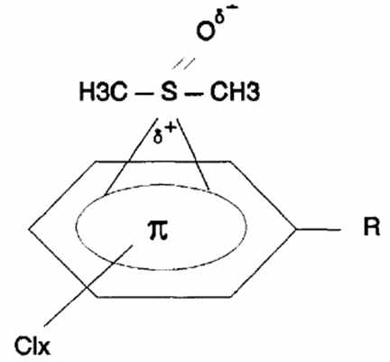 DMSO와 페닐 고리의 정전기적 반응