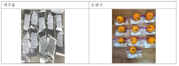 문헌에서 조사된 CBD 함유 가능성이 있는 천연물(맥주홉 및 오렌지)의 성상