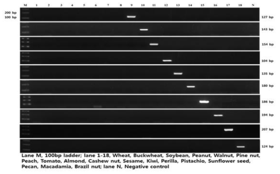 새로운 알레르기 유발 식품군 10종의 종 특이 Conventional PCR 특이성 결과