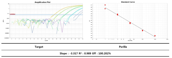 들깨의 종 특이 Real-time PCR Standard curve 결과