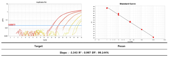 피칸의 종 특이 Real-time PCR Standard curve 결과