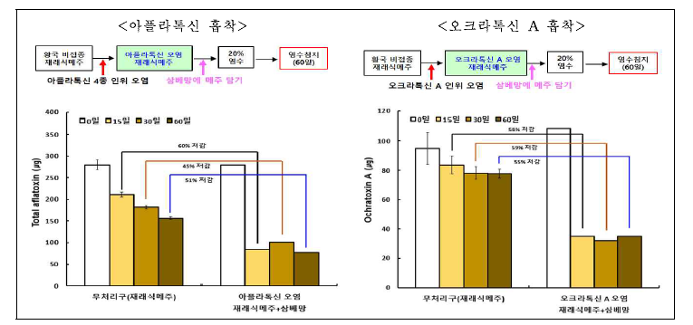 메주 매질에서 염수침지기간 중 삼베망 사용에 의한 곰팡이독소의 변화.