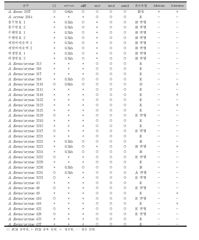 메주 및 종국 분리균주들의 aflatoxin 유전자군 결손 유형과 특성.