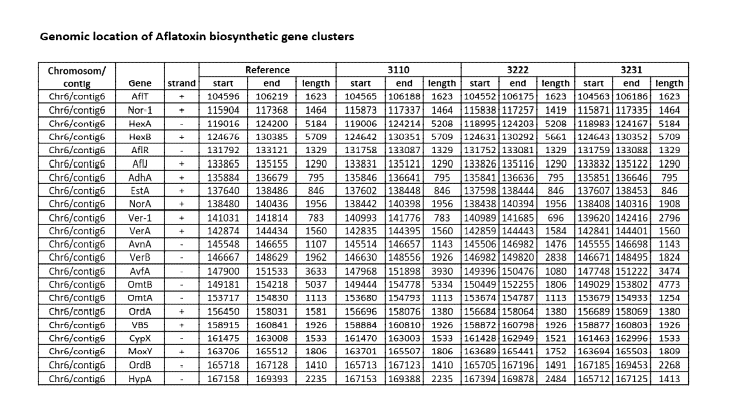 메주분리균 유전체상에서 아플라톡신 생합성 클러스터의 유전체 위치 분석.
