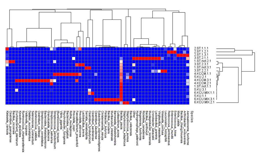 메주의 성형조건에 따른 세균류의 분류학적 분포 heatmap.