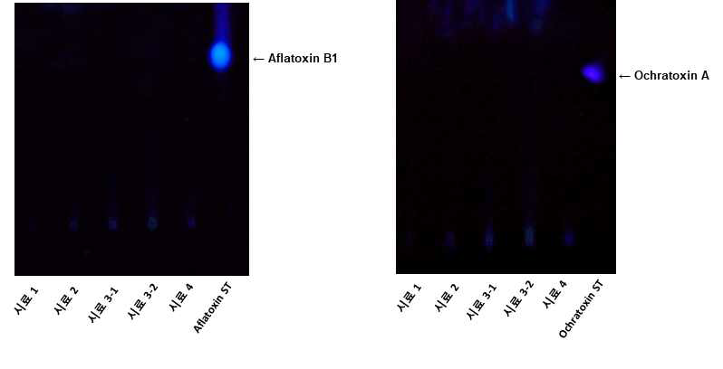 메주시료 5종에 대한 aflatoxin과 ochratoxin A 오염 분석.