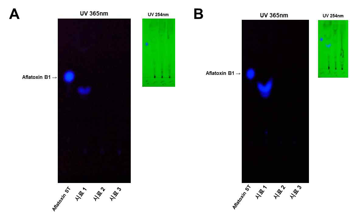 충무발효 종국접종에 의한 콩알메주 (A)와 사각메주 (B)의 aflatoxin 저감효과 분석.