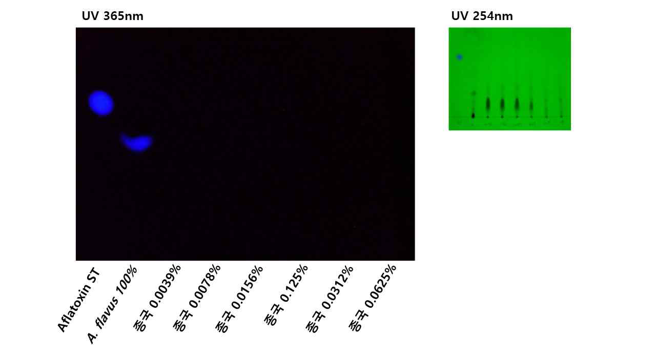 충무발효 종국접종에 의한 콩알메주의 aflatoxin 저감효과 확인을 위한 TLC 분석. 30℃에서 5일간 배양, 발효