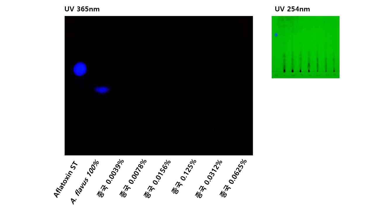 충무발효 종국접종에 의한 콩알메주의 aflatoxin 저감효과 확인을 위한 TLC 분석. 30℃에서 12일간 배양, 발효.