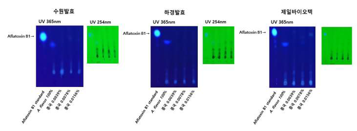 시판 종국을 활용한 콩알메주시료의 aflatoxin 분석 30℃에서 5일간 배양, 발효.