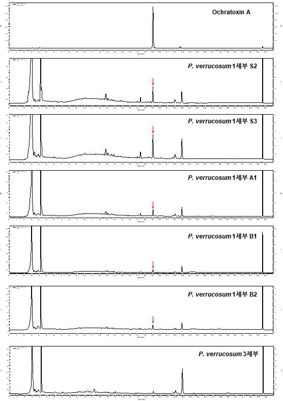 분양받은 ochratoxin A 생성균주의 독소 생성능 분석. PDA 배지상에서 25℃ 조건으로 15일간 배양 후, HPLC 분석방법으로 ochratoxin A의 생성여부를 확인하였으며 ochratoxin A의 peak는 붉은색 화살표로 표시하였음.