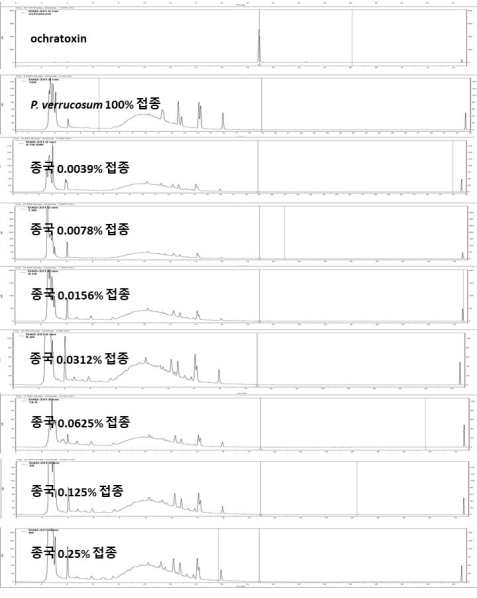 종국접종 접종에 의한 콩알메주의 ochratoxin A 저감효과 확인을 위한 HPLC 분석. 25℃에서 14일간 배양, 발효