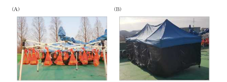 A: 메주 햇빛(유) 발효 B: 햇빛(무) 발효.