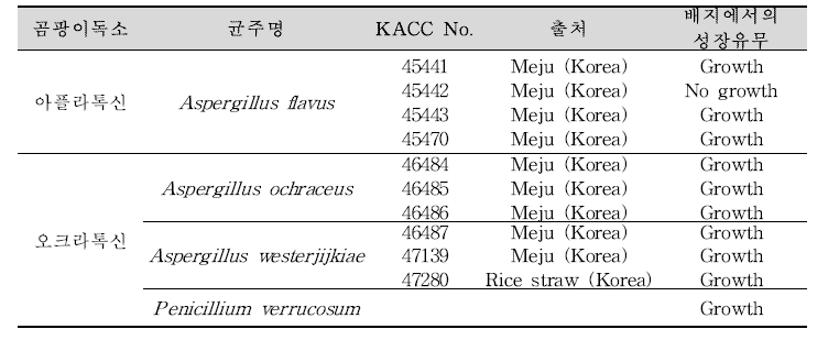 곰팡이독소 생산균주