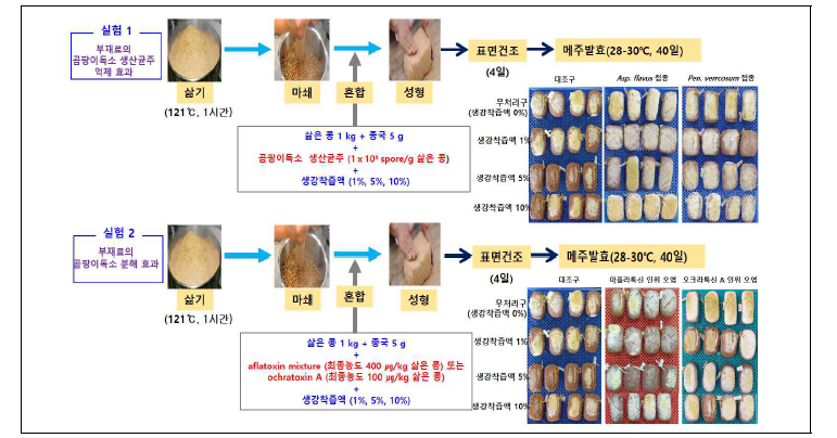 부재료 착즙액 첨가 메주 제조 과정.