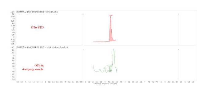 오크라톡신 생성 균주를 접종하여 제조한 된장 중 OTα 크로마토그램 (concentration of OTα standard: 20 μg/kg).