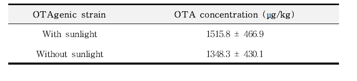 건조 시 햇빛유무에 따른 오크라톡신 A 생성균주 접종 메주 중 오크라톡신 A 농도