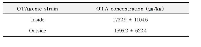 발효 시 장소에 따른 오크라톡신 A 생성균주 접종 메주 중 오크라톡신 A 농도