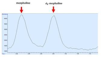 몰포린의 GC-MS 크로마토그램