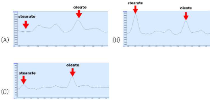 GC-MS를 이용한 오렌지 껍질의 지방산 분석 결과: (A) 오렌지 껍질(control) (B) morpholine stearate를 첨가한 오렌지 껍질, (C) morpholine oleate를 첨가한 오렌지 껍질