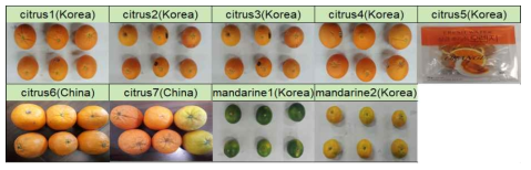 국내(안성)와 중국(북경) 오렌지 및 귤 시료