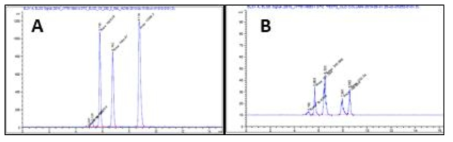 HPLC-method 5의 재현성 감소 결과 (A. 초기 크로마토그램, B. 후기 크로마토그램) (phosphate mix 1000 ppm)