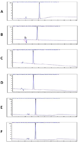 HPLC Method 1~6 (A~F)를 사용한 chromatogram