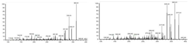 노르빅신(좌), 빅신(우) LC-MS/MS pattern