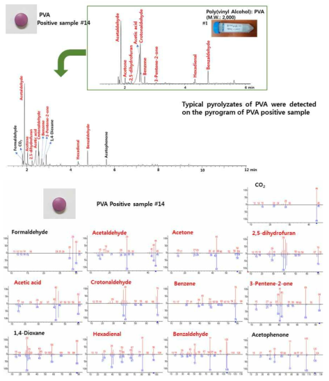 PVA 양성시료를 Py-GC/MS로 분석한 결과