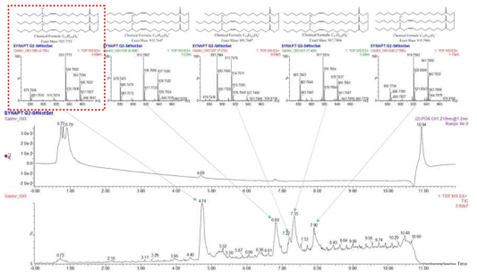 피마자유 표준품의 UPLC/MS 분석 결과