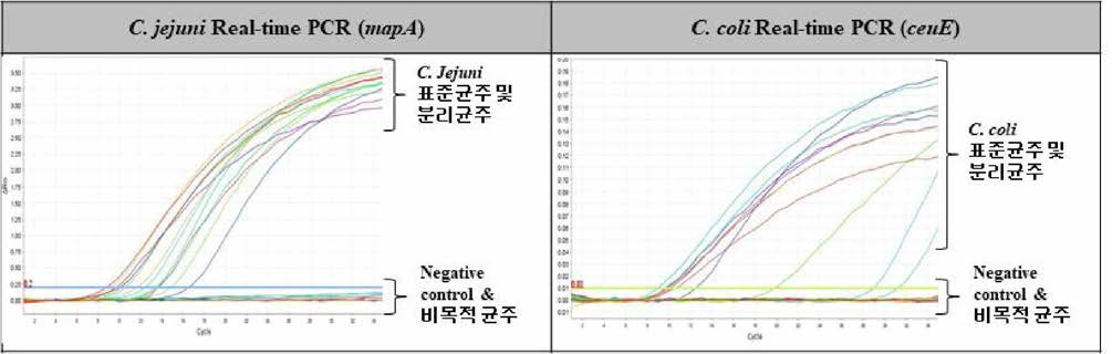 특이도 및 민감도 검토 결과