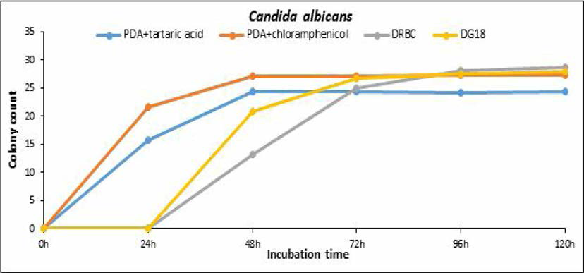 배양시간에 따른 Candida albicans 집락 수 즉정 결과