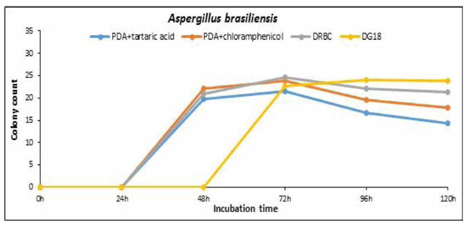 배양시간에 따른 Aspergillus brasilensis 집락 수 즉정 결과