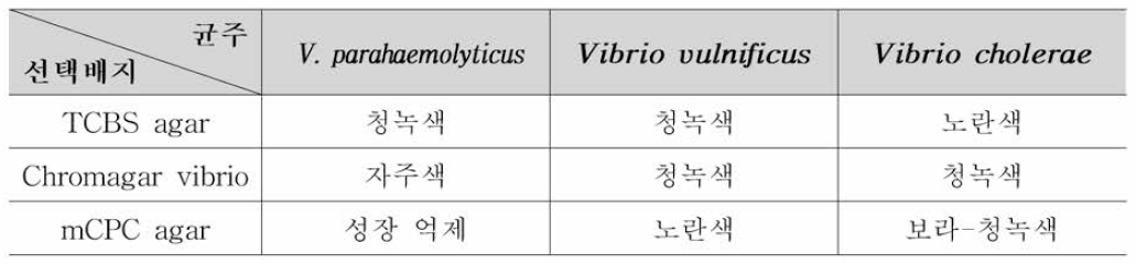 병원성 비브리오 선택배지에 따른 전형적인 집락 색상