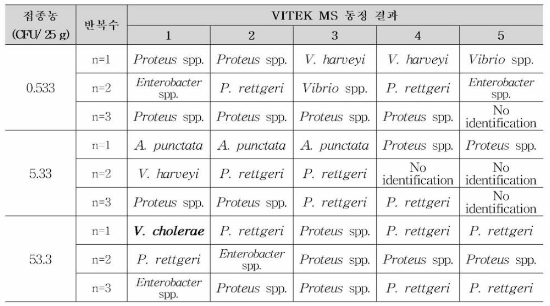 어류(신선) 검체에 대 한 비브리오 콜레라 18시 간 배양 후 VITEK MS를 통한 전형 적 인 집락 동정 결과