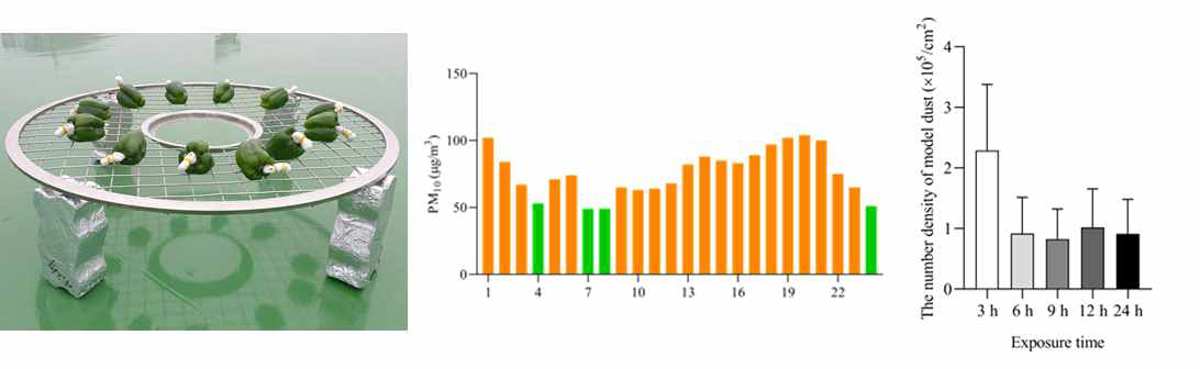 외부에서 노출 시간에 따른 피망 표면의 미세먼지 부착 실험 결과 왼쪽부터 실험 과정, 시간대별 미세먼지 농도, 노출 시간에 따른 식품 표면에 부착된 미세먼지