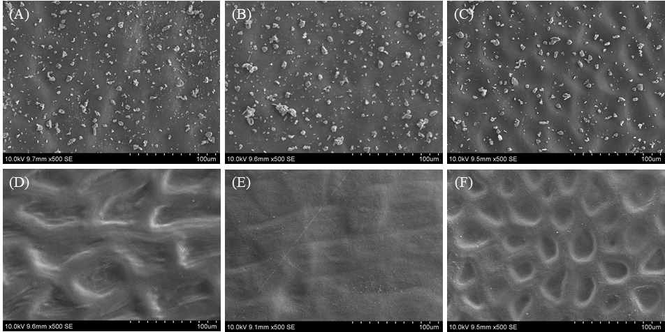 The before (top row) and after (bottom row) rinsed SEM micrograph of bell pepper (A, D), chili pepper (B, E) and tomato (C, F)