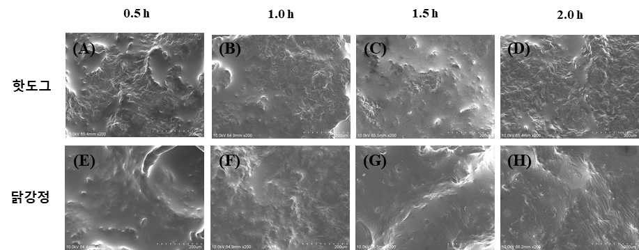 핫도그, 닭강정을 평균 미세먼지 농도 300 ㎍/㎥에서 노출한 후 주사전자현미경을 이용하여 미세먼지 부착정도를 확인한 결과 (A) 핫도그 0.5 h 노출 결과, (B) 핫 도그 1.0 h 노출 결과, (C) 핫도그 1.5 h 노출 결과, (D) 핫도그 2.0 h 노출 결과, (E) 닭강정 0.5 h 노출 결과, (F) 닭강정 1.0 h 노출 결과, (G) 닭강정 1.5 h 노출 결과, (H) 닭강정 2.0 h 노출 결과