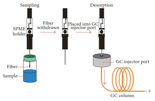 Diagram of analysis solid phase microextraction–gas chromatography (SPME-GC)(25)
