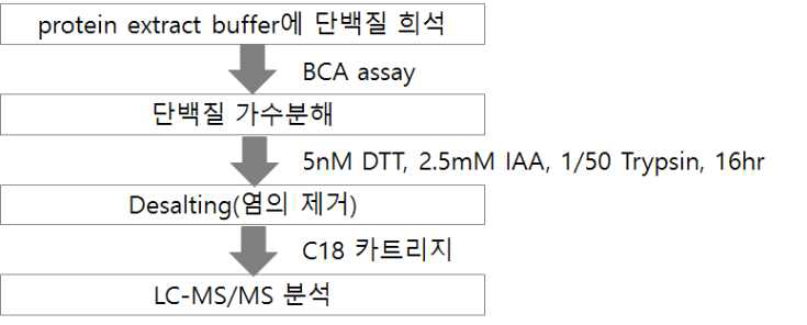 분석 시료의 준비 과정