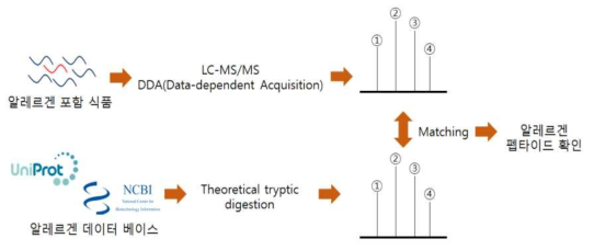 DDA(Data dependent Acquisition) 모드에서의 펩타이드 분석