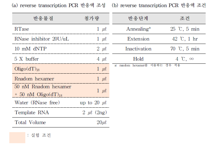 A형 간염바이러스 reverse transcription PCR 반응액 조성(a) 및 반응 조건(b)