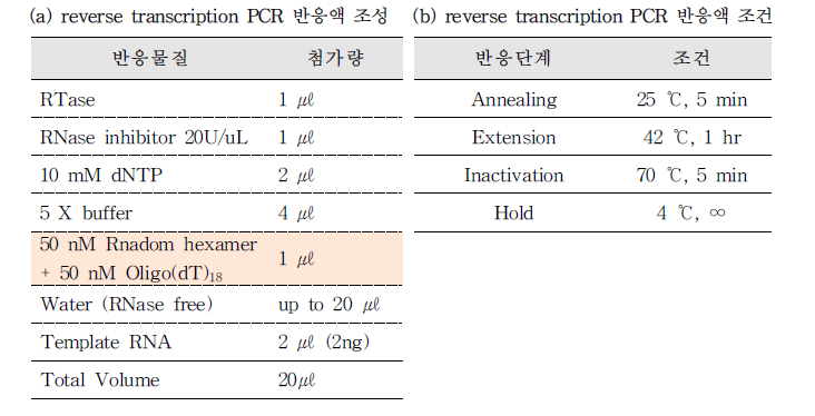 A형 간염바이러스 reverse transcription PCR 반응액 조성(a) 및 반응 조건(b)
