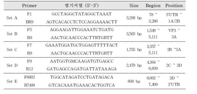A형 간염바이러스 long template PCR primer